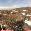 14_20-nest.jpg