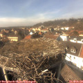 14_25-nest.jpg