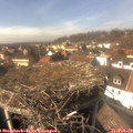 14_30-nest.jpg