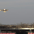 14_35-mast.jpg