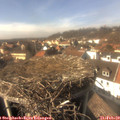 14_35-nest.jpg