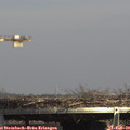14_40-mast.jpg