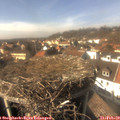 14_40-nest.jpg