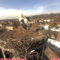 14_55-nest.jpg