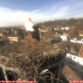 15_05-nest.jpg