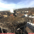 15_20-nest.jpg