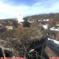 15_25-nest.jpg