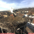 15_30-nest.jpg