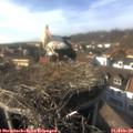 15_35-nest.jpg