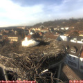 15_40-nest.jpg