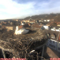 15_45-nest.jpg