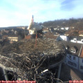 16_00-nest.jpg