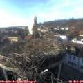 16_30-nest.jpg