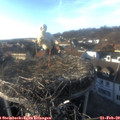 16_35-nest.jpg