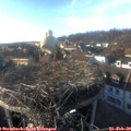 16_40-nest.jpg