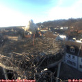 16_55-nest.jpg
