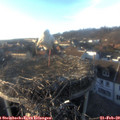 17_00-nest.jpg