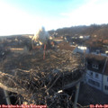 17_05-nest.jpg