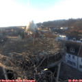 17_10-nest.jpg
