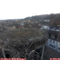 17_35-nest.jpg