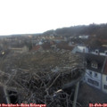 17_40-nest.jpg