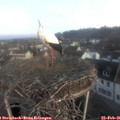 07_25-nest.jpg