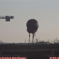 08_00-mast.jpg
