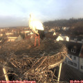 08_05-nest.jpg