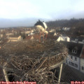 08_25-nest.jpg