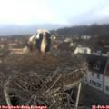 08_30-nest.jpg