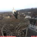 08_35-nest.jpg