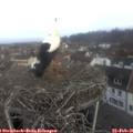 08_40-nest.jpg