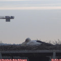 08_45-mast.jpg