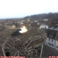 08_45-nest.jpg
