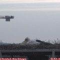 08_55-mast.jpg