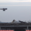 09_00-mast.jpg