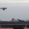 09_05-mast.jpg