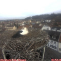 09_05-nest.jpg