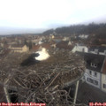 09_10-nest.jpg