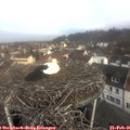 09_15-nest.jpg