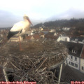 09_25-nest.jpg