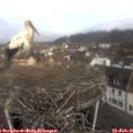 09_30-nest.jpg