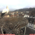09_35-nest.jpg
