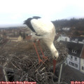 09_45-nest.jpg