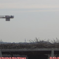 09_50-mast.jpg