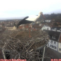 10_05-nest.jpg