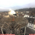10_25-nest.jpg
