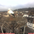 10_35-nest.jpg