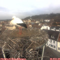 10_40-nest.jpg