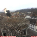 10_55-nest.jpg